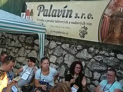 Otevřene sklepy 2019